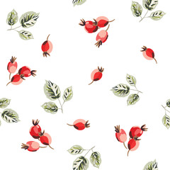 Red rosehip berries, green leaves, white background. Vector floral illustration. Seamless pattern. Summer plants. Botanical design