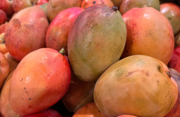 Fresh red and green mango fruit at a road stand in Maui, Hawaii