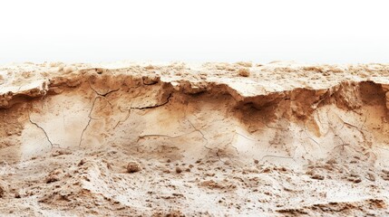 High-resolution image of a desert landscape with cracked ground and fine details depicting dry, arid conditions under the clear, bright sky.