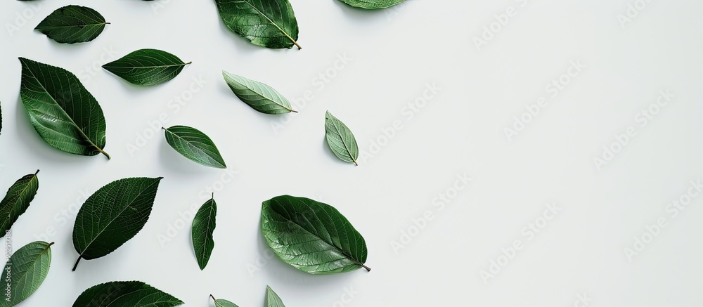Aufkleber minimalist copy space image featuring leaves on a white backdrop
