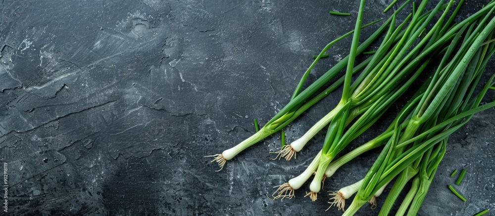 Poster Fresh green spring onion arranged on a slate surface with text space available highlighting the health benefits of this vegetable in a visually appealing copy space image