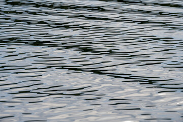 Reflection in the water at dusk. Sunset.
