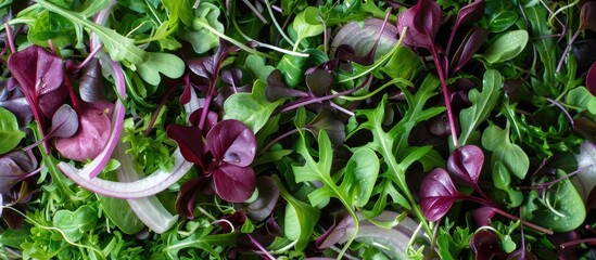 Obraz premium Copy space image with a vibrant mix of micro greens arugula onion and other ingredients on a food background for a healthy salad