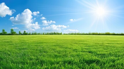 Obraz premium A vibrant green lawn stretches under a clear blue sky adorned with fluffy white clouds, showcasing neatly mowed grass and trees lining the landscape