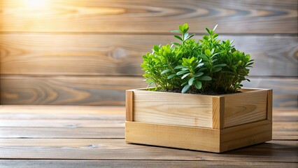 Serene plant in wooden planter , tranquility, peaceful, greenery, nature, wood, planter, relaxation, calm, serene, plant