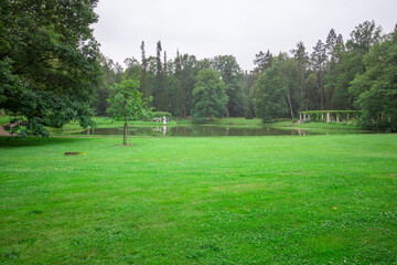 A tranquil morning unfolds as soft mist lingers over a peaceful pond embraced by verdant grass and towering trees, inviting quiet contemplation and nature's beauty.