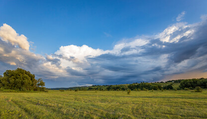 Obraz premium A sprawling meadow bathed in golden light with a distant line of trees. The sky above is a magnificent tapestry of fluffy white and stormy grey clouds, hinting at a approaching rain.