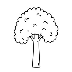 Tree isolated on a white background. Vector hand-drawn illustration in doodle style. Perfect for cards, decorations, logo, various designs.
