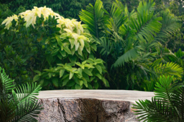 Wood table top podium floor in outdoors tropical garden forest blurred green leaf plant nature background.Natural product placement pedestal stand display,jungle paradise concept.
