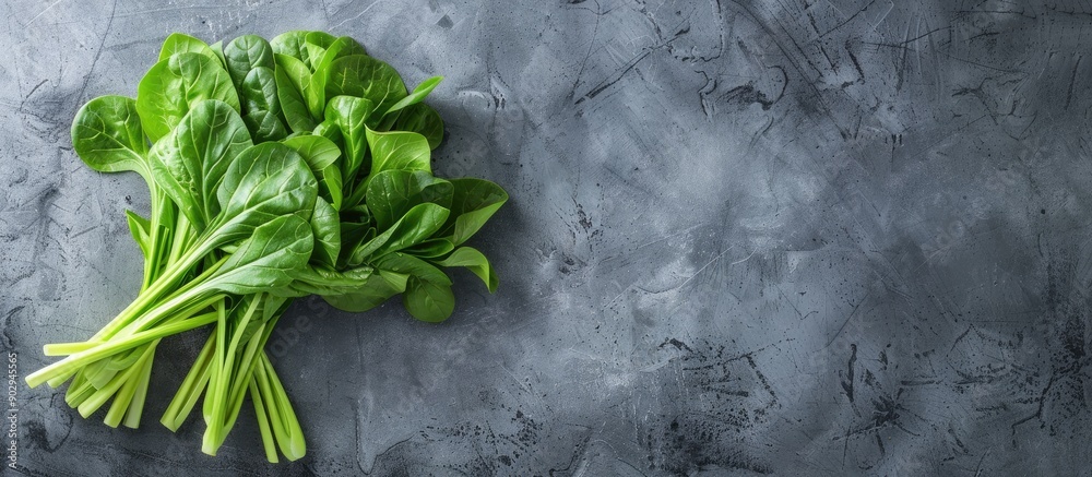 Poster japanese udo vegetable fresh and green highlighted on a grey background with copy space image