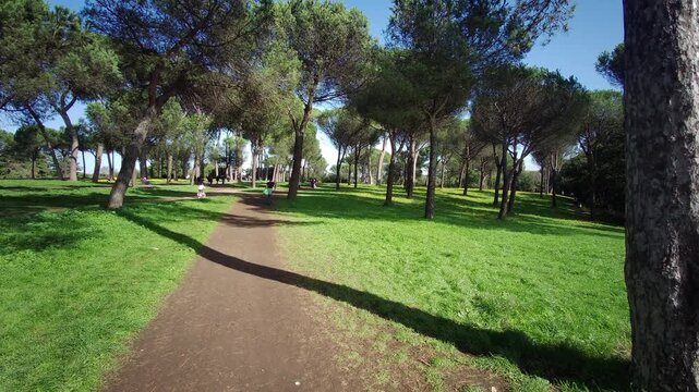 overview of the park of villa Pamphili in Rome on sunny day. High quality 4k footage
