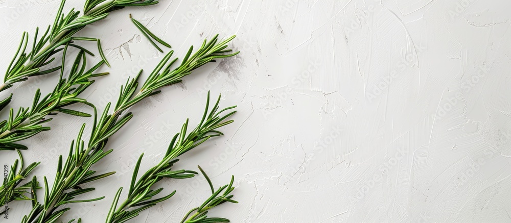 Aufkleber Fresh green rosemary arranged on a white surface for a flat lay view with room for text or other elements in the image. Creative banner. Copyspace image