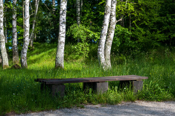 A wooden bench for resting in the forest. Birch trees and beautiful young green grass can be seen in the background. A place for rest and relaxation in nature.

