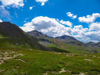 Fototapeta premium Alpine green pasture with panoramic view of mountains and hills in valley Valle Stura in Colle Del Puriac, Piemonte, Italy, Europe. Hiking tour in Italian Alps in summer. Peaceful serene atmosphere