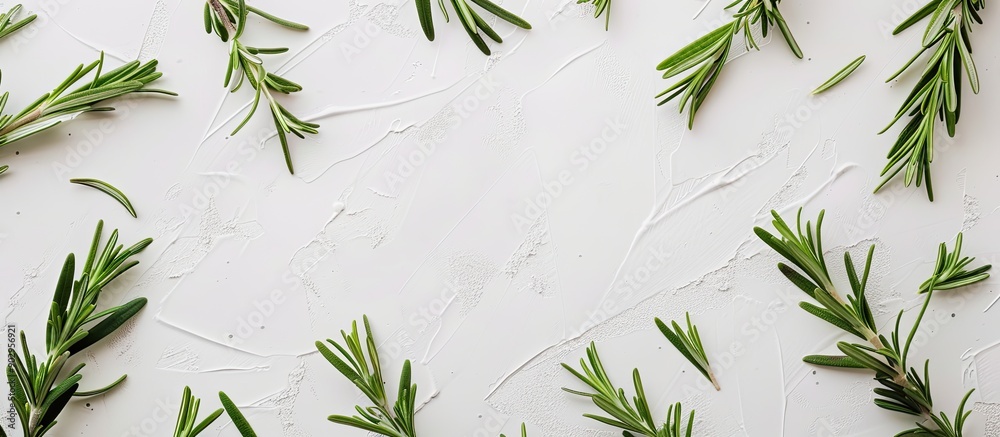 Aufkleber Fresh green rosemary arranged on a white surface for a flat lay view with room for text or other elements in the image. Creative banner. Copyspace image