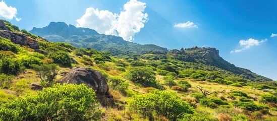 Sunny day in the countryside with a clear blue sky above a rugged mountain ridge adorned with lush green shrubs creates an awe inspiring scenic view with copy space image