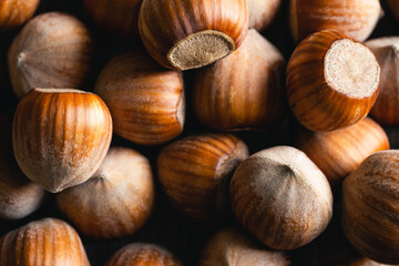 Hazelnut nut health organic brown filbert autumn background concept, food background.