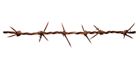 PNG Rusty barbed wire white background forbidden branch.