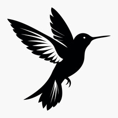 Silhouette Flying Hummingbird vector illustration with white background, Vector Birds Collection