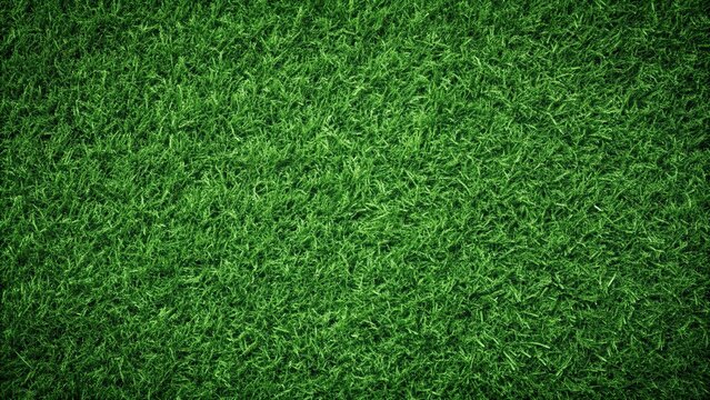 Seamless dark green grass texture for backgrounds and design projects, green, grass, seamless, texture, nature, background, dark
