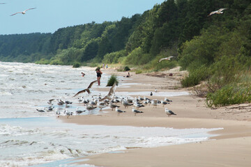 Vacationers swim in a storm on a sandy beach.