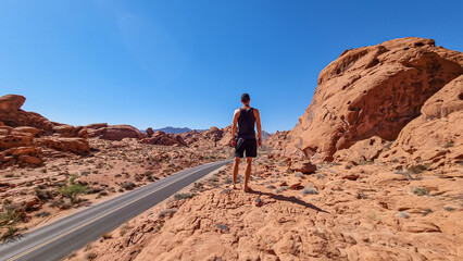 Obraz premium Man standing on endless winding empty Mouse tank road in Valley of Fire State Park through canyons of red Aztec Sandstone Rock formations and desert vegetation in Mojave desert, Overton, Nevada, USA