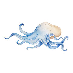 Obraz premium Octopus watercolor painting, nursery