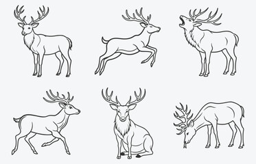 Majestic Elk Line Art Collection