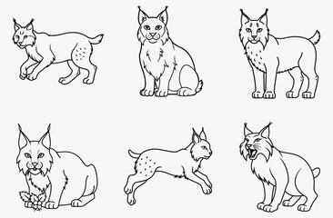 Majestic Lynx Line Art Collection, The Ultimate Masterpiece Series