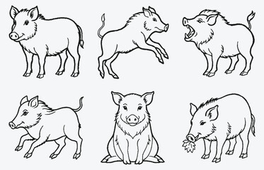 Majestic Boar Line Art Collection