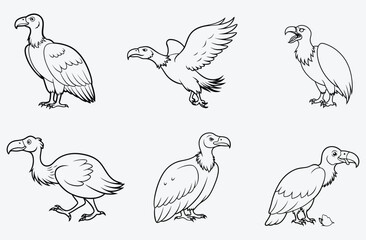 Elegant Vulture Line Art Vector - Detailed Monochrome Illustration