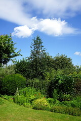 Obraz premium Üppiges Grün in einem schönen großen Garten im Sommer mit blauem Himmel und weißer Wolke bei Sonnenschein in Wettenberg Krofdorf-Gleiberg bei Gießen in Hessen