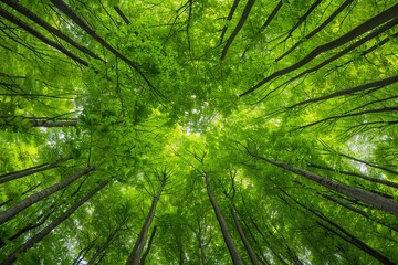 A lush forest canopy with diverse animal habitats, natural balance, ecosystem preservation
