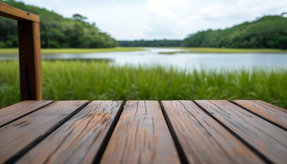 Nature reserve with wetland observation platforms, protected area, wildlife observation