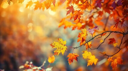 Vibrant autumn leaves on tree branches with sunlight