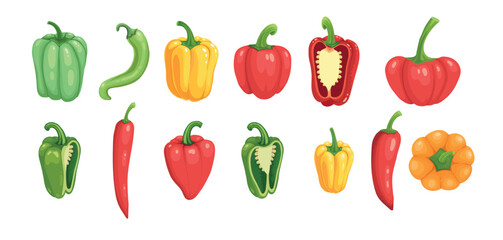 Various bell peppers. Cartoon red green yellow orange sweet paprika, fresh organic vegetable for cooking and healthy eating. Vector colorful set of food vegetable illustration