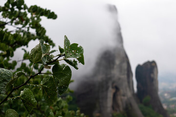 Panoramic view of unique rock formations near Holy Monastery of Varlaam on cloudy foggy day in Kalambaka, Meteora, Thessaly, Greece, Europe. Fog surrounding the dramatic landscape, moody misty vibes