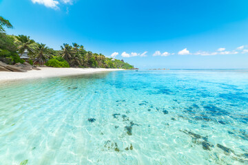 Turquoise water and palm trees in a tropical beach