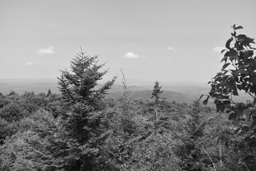 Boucle Mont Singer 29 Juillet 2024 - N&B