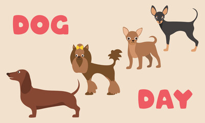National Dog Day banner. Domestic pet. Different dog breeds. Vector cartoon flat illustration
