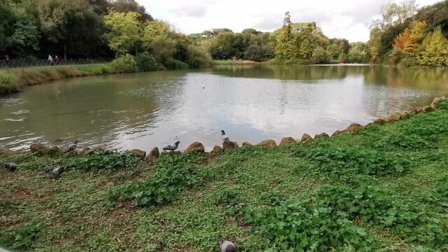 Villa pamphili lake in Rome on sunny day. High quality 4k footage