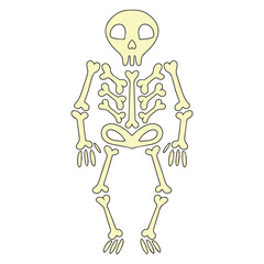 Skeleton in doodle style on white background. Vector hand drawn holiday illustration. Skeleton design for Halloween holiday. Vector