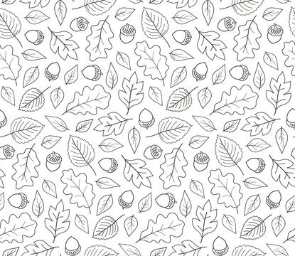Seamless autumn pattern with acorns and oak leaves, contour.