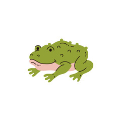 Toad sitting vector flat icon, cute funny toad wild amphibian reptile animal, green frog with large bumps on skin