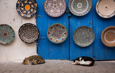 Two cats sleep in front of Moroccan pottery hung on a wall in Essaouira, Morocco
