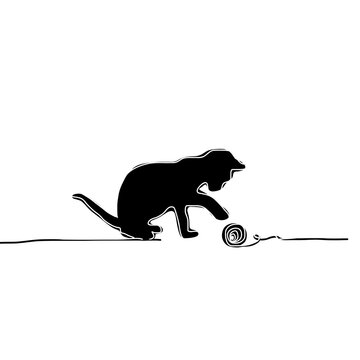 cat on a rock