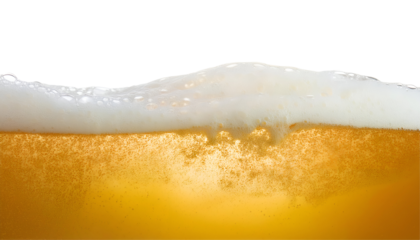 Close-up of golden beer froth with bubbles, isolated on a white or transparent background