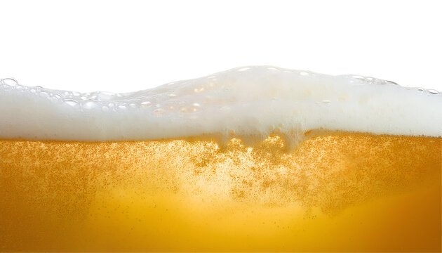 Close-up of golden beer froth with bubbles, isolated on a white or transparent background
