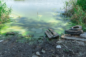 Obraz premium Plastic trash and old tires in the lake. Garbage dump in forest scattered in river. People illegally throw rubbish. World ecology problem of environmental protection. Garbage heap in nature.