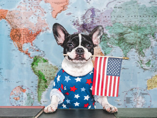 Cute puppy against the background of a geographical map of the world. Close-up, indoors, studio shot. Isolated background. Concept of care, education, obedience training and raising of pets
